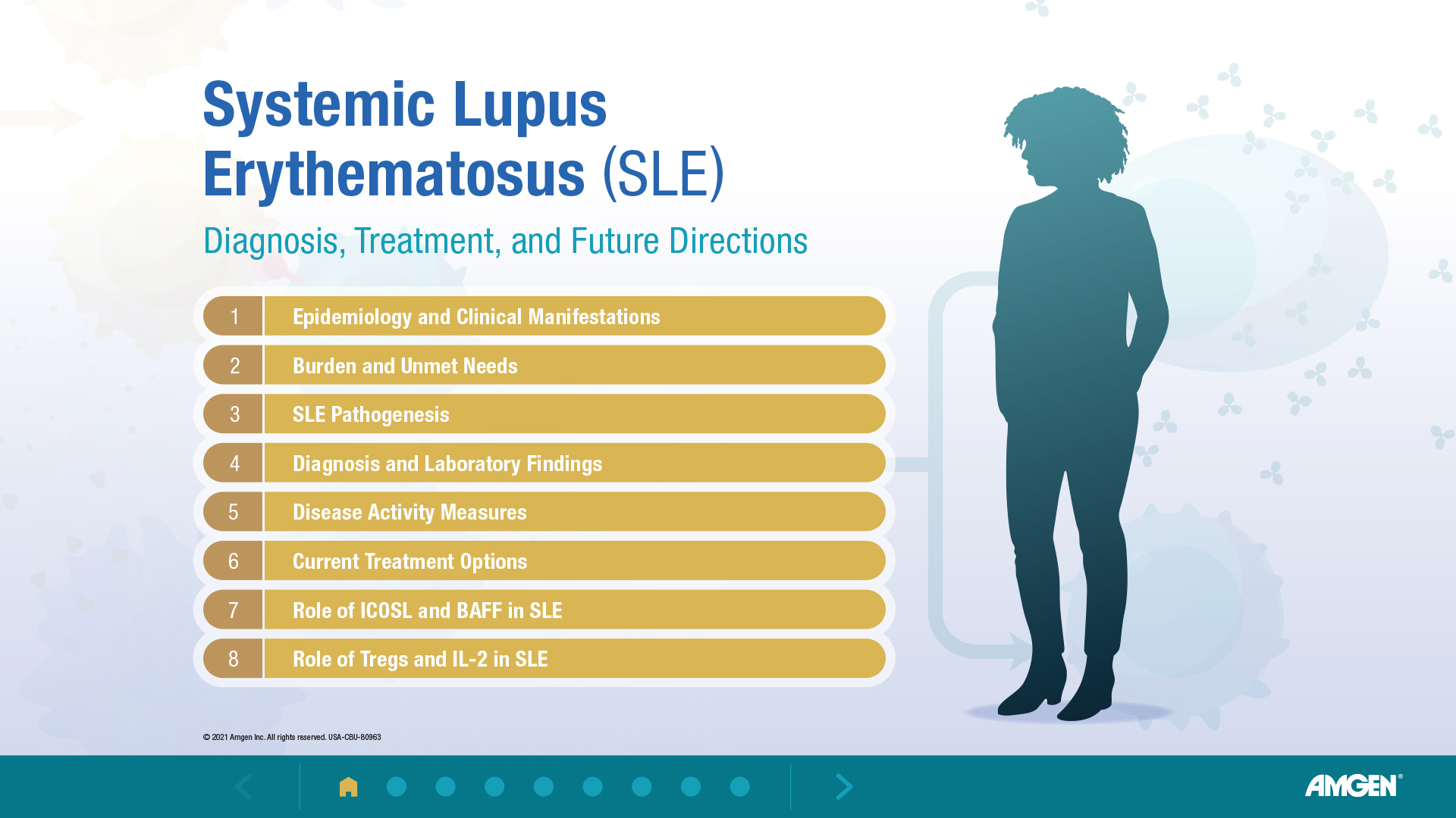 Systemic Lupus Erythematosus Interactive