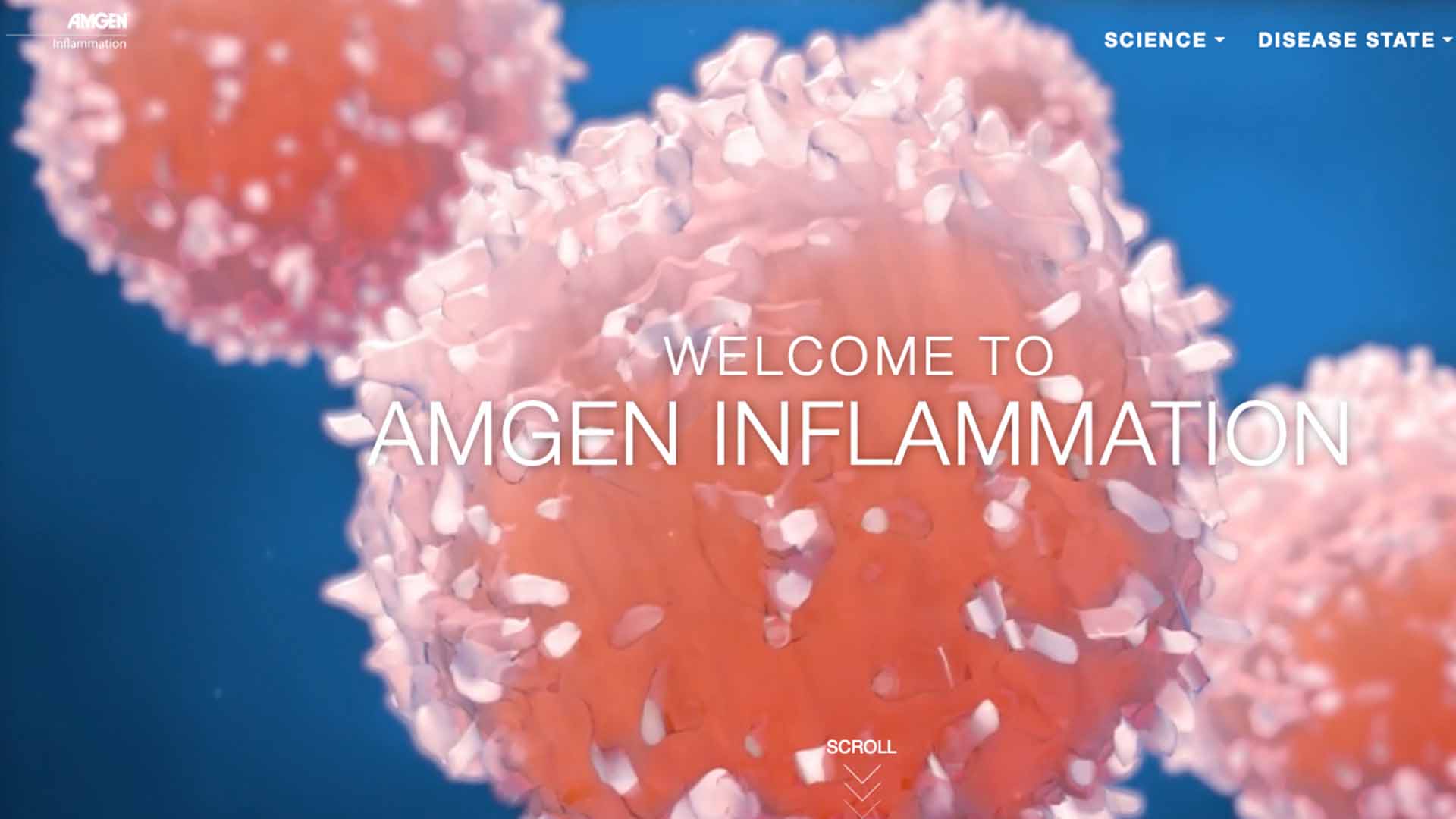 Amgen Inflammation Website